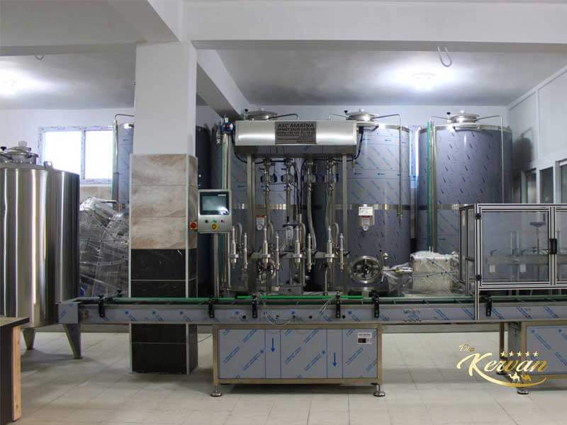 Bulk Olive Oil Manufacturers Factory - Taha Kervan Brand - Best