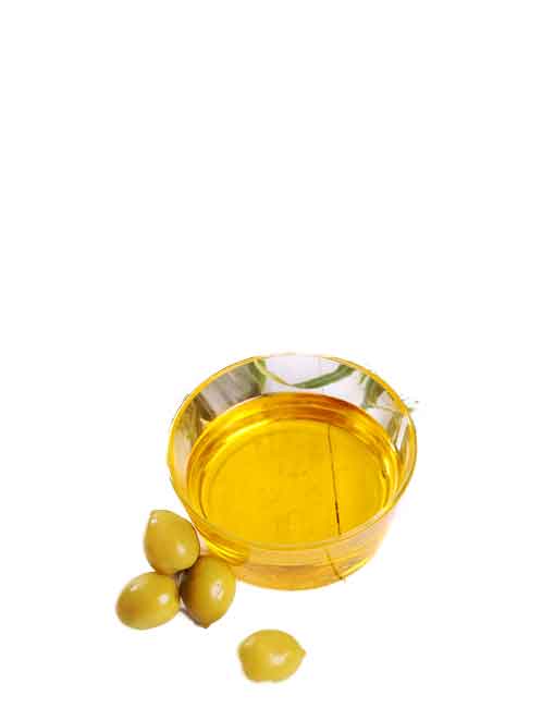 Bulk Olive Oil Manufacturers Factory - Taha Kervan Brand - Best