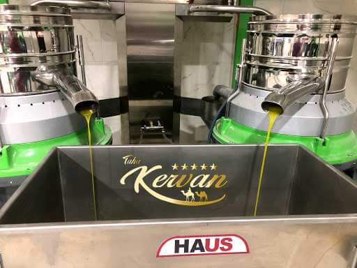 Bulk Olive Oil Manufacturers Factory - Taha Kervan Brand - Best